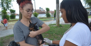 Mais de 4 8 mil cães e gatos foram vacinados contra a raiva em Feira